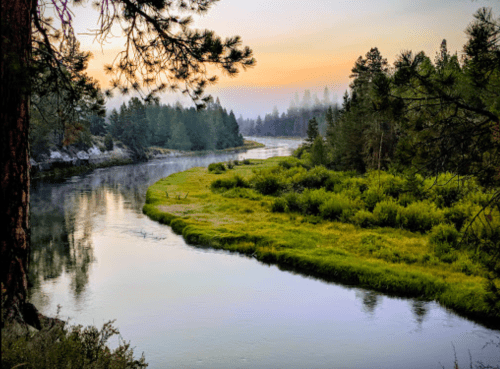 A serene river winding through lush greenery and trees at sunrise, with soft mist in the background.
