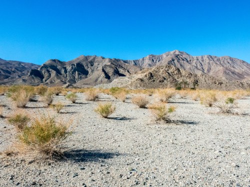 A barren desert landscape with sparse vegetation and rugged mountains under a clear blue sky.