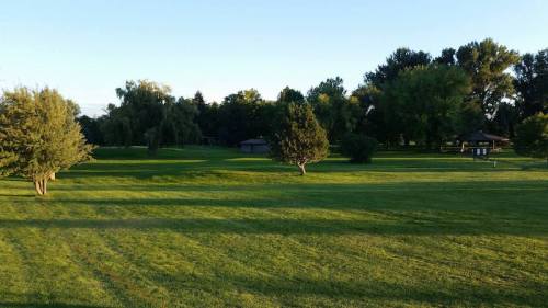 A serene park scene with lush green grass, scattered trees, and a clear blue sky in the background.