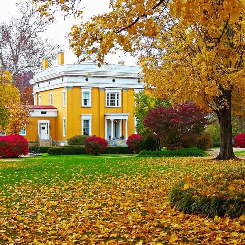 A yellow house surrounded by vibrant autumn foliage and a carpet of fallen leaves in a lush green yard.