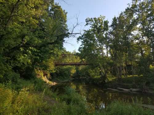 A serene river scene surrounded by lush greenery and trees, with a bridge visible in the background.