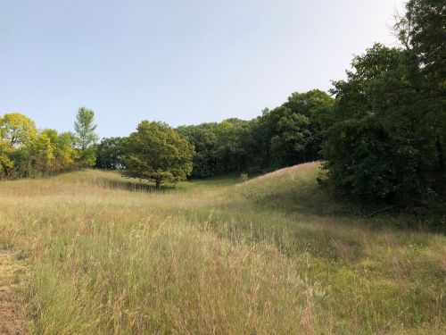A serene landscape featuring rolling hills covered in tall grass, bordered by trees under a clear blue sky.