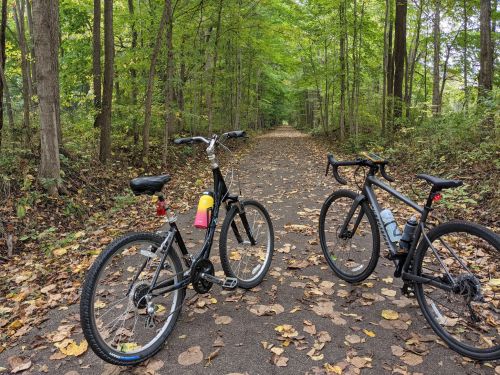 Two bicycles parked on a leaf-covered trail surrounded by trees in a serene forest setting.