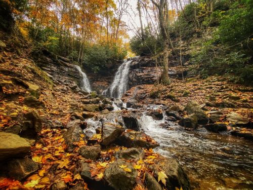 A serene waterfall cascades over rocks, surrounded by autumn foliage and trees in a tranquil forest setting.