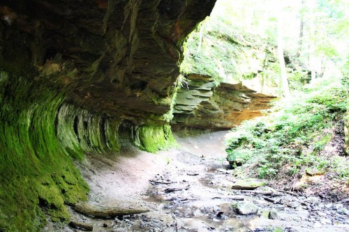 A moss-covered rock formation in a forested area, with a dry creek bed and lush greenery surrounding it.