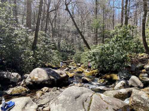 A serene forest scene with a flowing stream, large rocks, and two people enjoying nature among lush greenery.