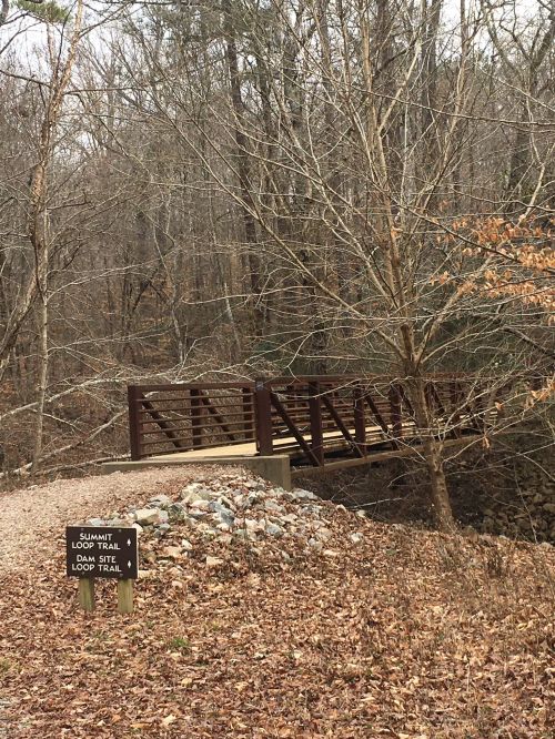 A wooden bridge over a small stream in a wooded area, with a sign for the Summit Loop Trail nearby.