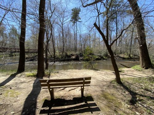 A wooden bench facing a calm river, surrounded by trees and a clear blue sky.