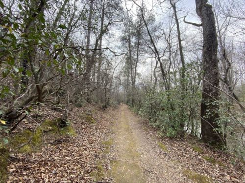 A narrow dirt path winds through a wooded area with bare trees and scattered leaves on the ground.