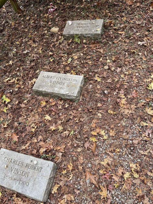 Three gravestones in a cemetery, surrounded by fallen leaves, marking the names and dates of Albert Livingston Vinson, Thomas Vinson, and Charles Robert Vinson.