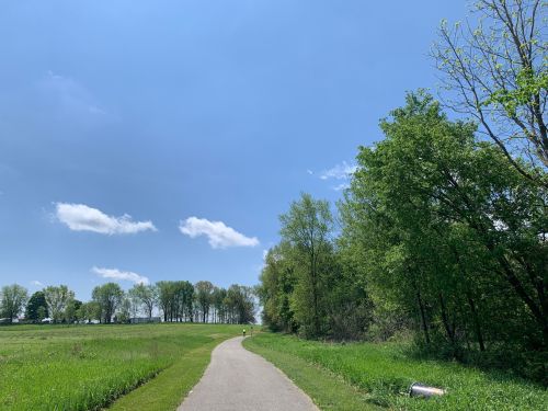 A winding path through lush green grass and trees under a clear blue sky with a few clouds.