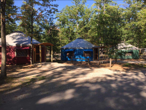 Three colorful yurts in a wooded area, surrounded by trees and gravel paths.