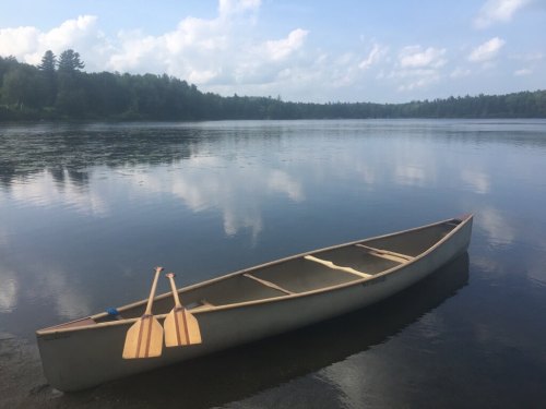A canoe with two paddles rests on calm water, surrounded by trees and a blue sky with fluffy clouds.