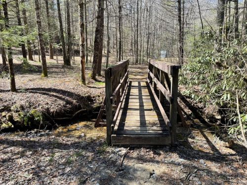 A wooden bridge spans a small creek in a forested area, surrounded by trees and dappled sunlight.