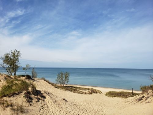 A serene beach scene with sandy dunes, sparse trees, and calm blue waters under a clear sky.