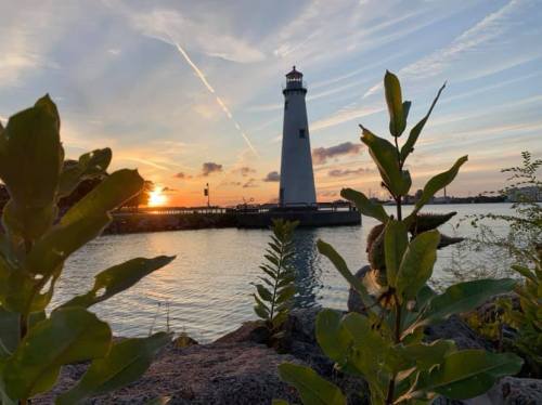 A lighthouse stands by the water at sunset, surrounded by greenery and a colorful sky.