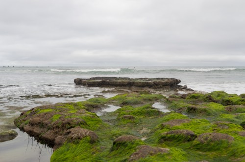 Rocky shoreline covered in green moss, with gentle waves and a cloudy sky in the background.