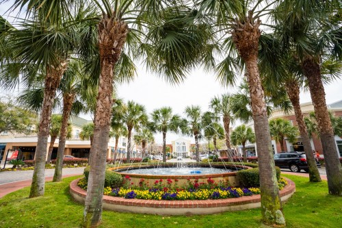 A landscaped area with palm trees, a fountain, and colorful flowers in a shopping district.