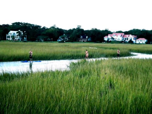 Two people paddleboarding and one walking in a marshy area, with houses visible in the background.