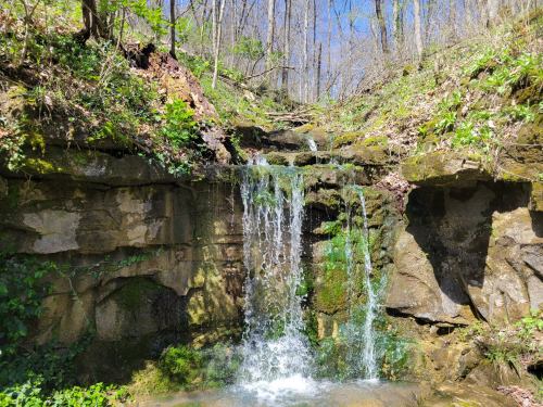 A small waterfall cascades over moss-covered rocks in a lush, green forest setting under a clear blue sky.