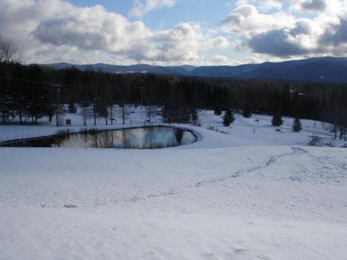 A snowy landscape with a pond reflecting the sky, surrounded by trees and mountains in the background.