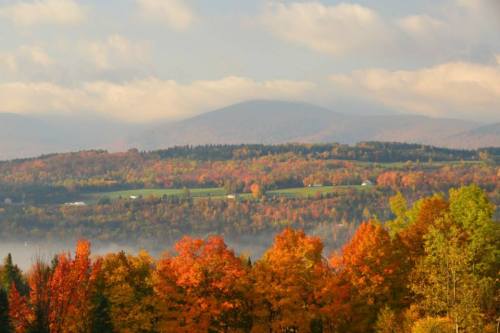 A scenic view of colorful autumn foliage with rolling hills and a misty landscape in the background.