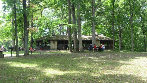 A picnic shelter surrounded by trees, with people sitting at tables in a grassy area.