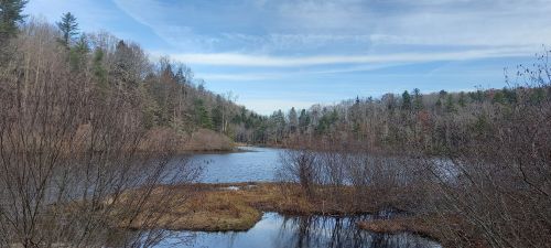 A serene landscape featuring a calm lake surrounded by trees and a clear blue sky with wispy clouds.