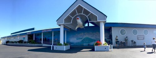 A building with a large mural of a mountain and a fish sculpture, surrounded by flowers and people enjoying the area.