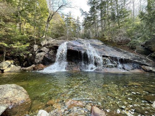 A serene waterfall cascading over rocks into a clear pool, surrounded by lush green trees and a peaceful forest setting.