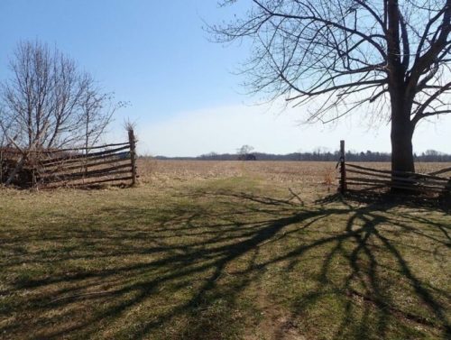 A wide open field under a clear blue sky, framed by a wooden fence and a bare tree casting long shadows.