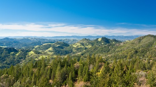 A panoramic view of lush green hills and valleys under a clear blue sky, dotted with trees and distant mountains.