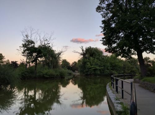 A serene pond surrounded by trees, reflecting the sky at dusk with soft clouds and a winding path along the water.