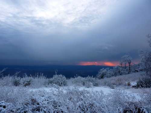 A snowy landscape with frosted trees under a cloudy sky, featuring a hint of orange sunset on the horizon.