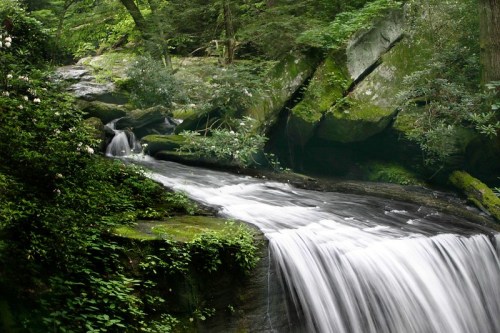A serene waterfall cascades over moss-covered rocks, surrounded by lush green foliage in a tranquil forest setting.