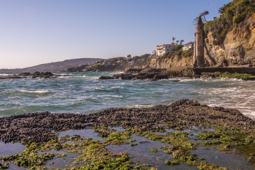 Coastal view with rocky shore, waves, and a historic tower on a cliff, surrounded by palm trees and a clear blue sky.
