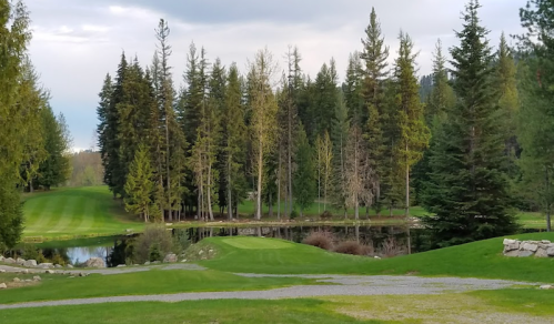 A serene landscape featuring a pond surrounded by tall trees and lush green grass under a cloudy sky.