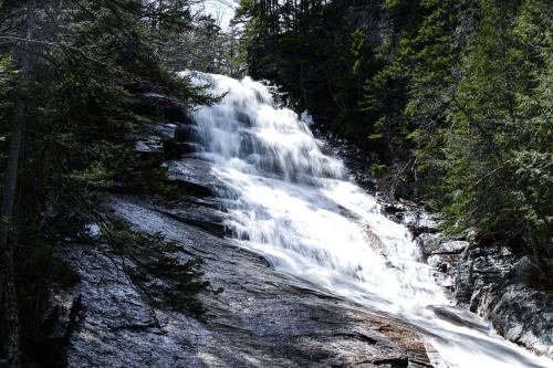A cascading waterfall flows over rocky terrain, surrounded by lush green trees and sunlight filtering through.