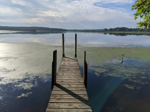 A wooden dock extends into a calm lake, surrounded by greenery and a cloudy sky reflecting on the water's surface.