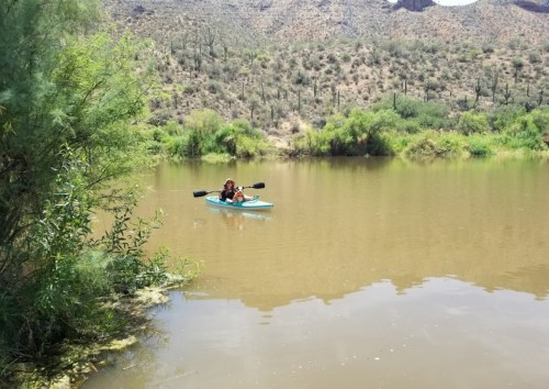 A person kayaking on a calm river surrounded by desert vegetation and mountains in the background.