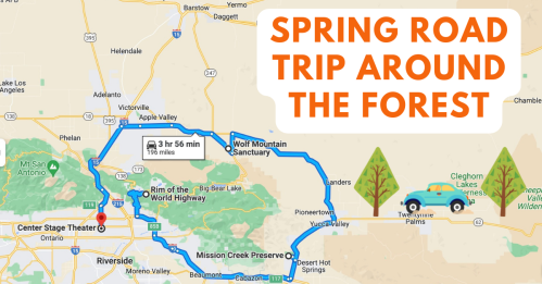 Map showing a spring road trip route around a forest, highlighting key locations and travel time. Car and tree icons included.