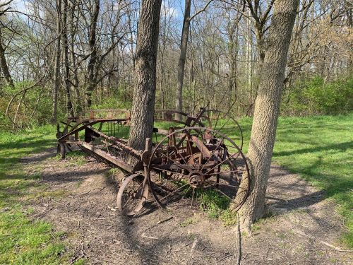 An old, rusted farming implement partially surrounded by trees in a grassy area.