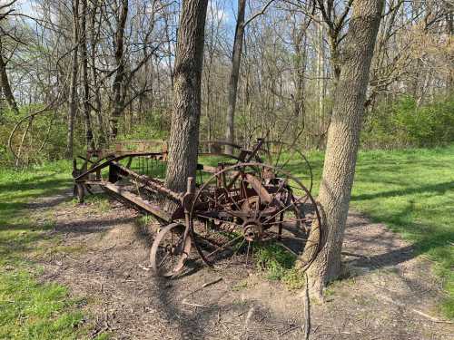 An old, rusted farming implement partially surrounded by trees in a grassy area.