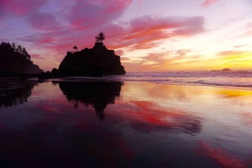 A serene beach at sunset, with vibrant pink and orange skies reflecting on calm water and a rocky outcrop in the distance.