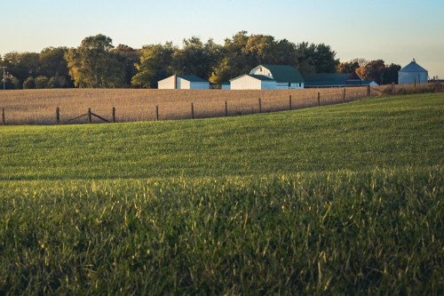 A serene rural landscape featuring green fields, a fence, and white farm buildings under a clear sky.