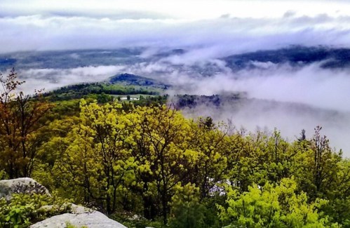A scenic view of lush green trees and rolling hills shrouded in mist under a cloudy sky.