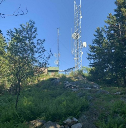A telecommunications tower surrounded by trees and greenery on a hillside.