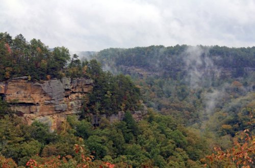 A misty landscape featuring rocky cliffs and lush green trees, with autumn colors peeking through the foliage.