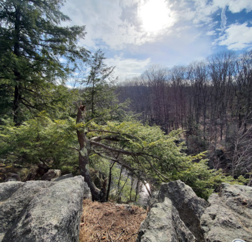 A rocky outcrop overlooks a forested valley under a bright sky with scattered clouds.