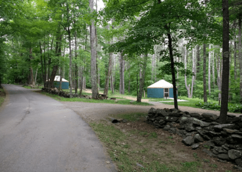 Two yurts nestled in a wooded area, with a gravel path and stone wall visible in the foreground.